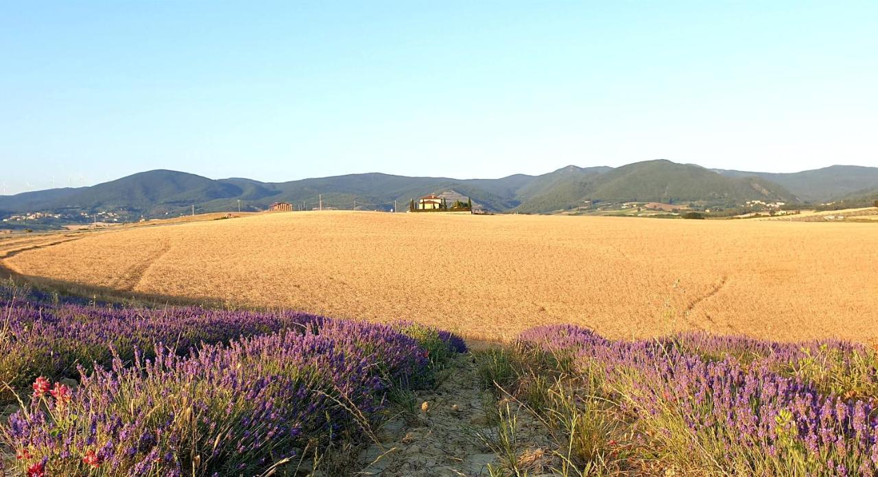 Agriturismo L'Impero Santa Luce Kültér fotó