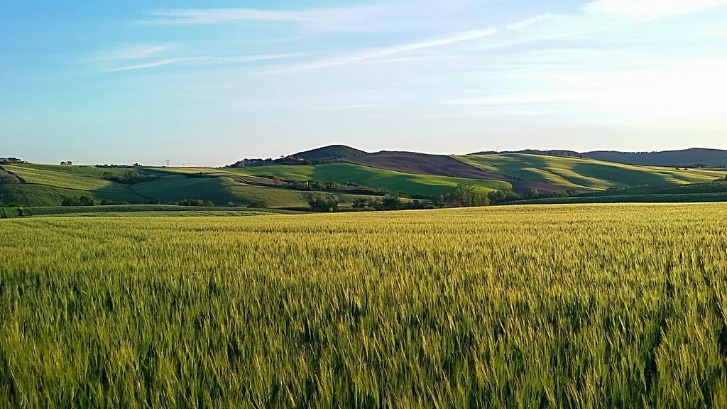Agriturismo L'Impero Santa Luce Kültér fotó
