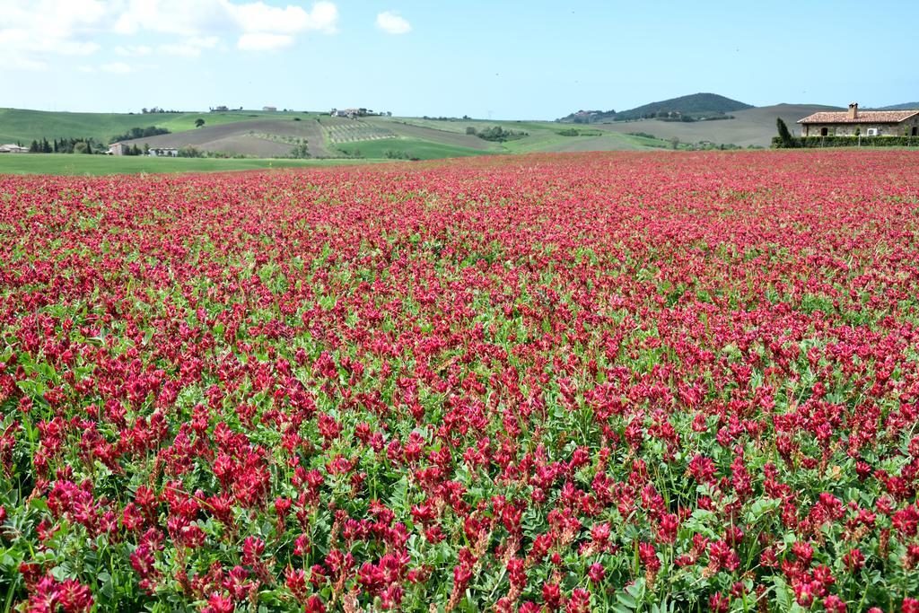 Agriturismo L'Impero Santa Luce Kültér fotó