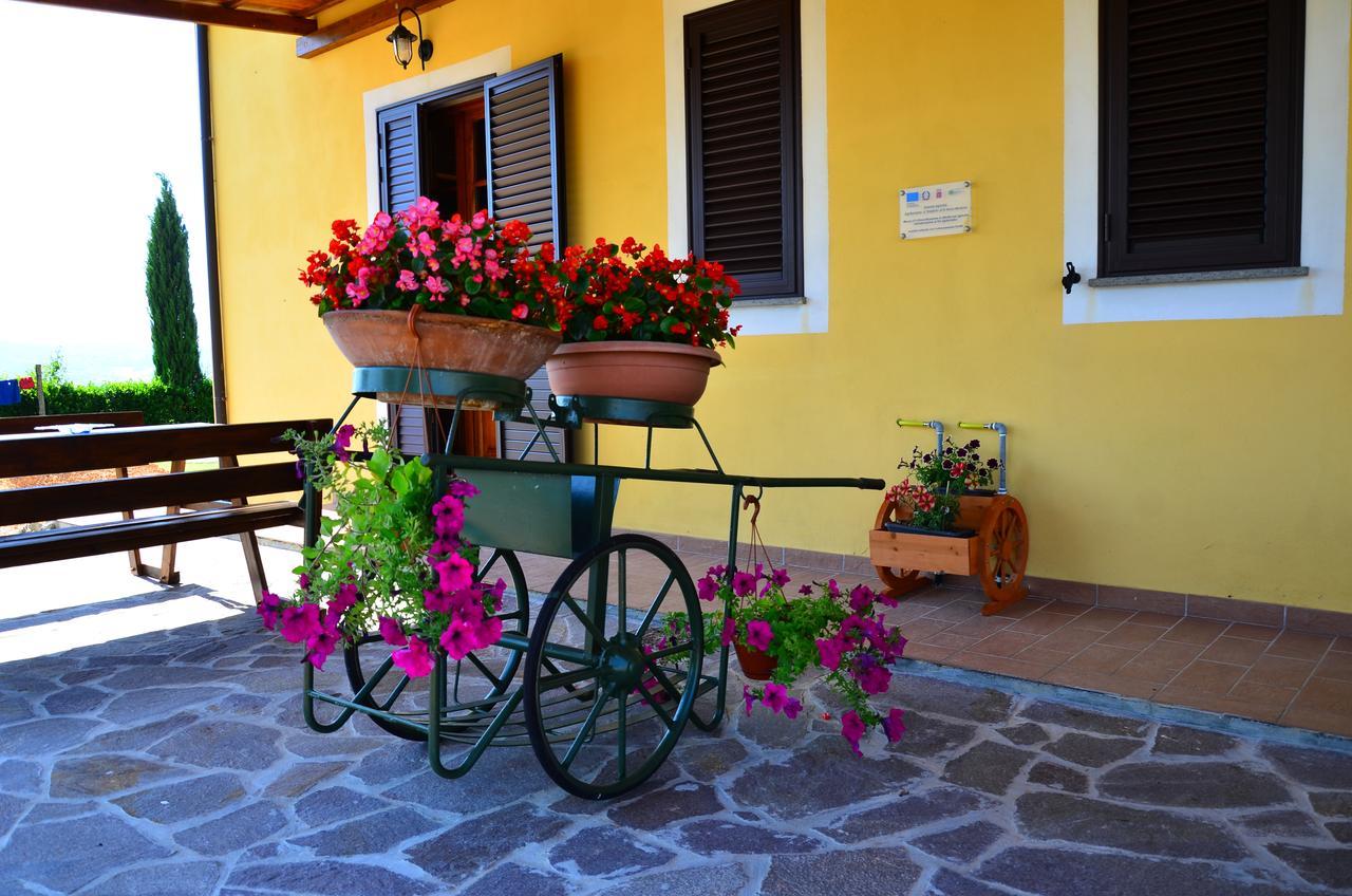 Agriturismo L'Impero Santa Luce Kültér fotó